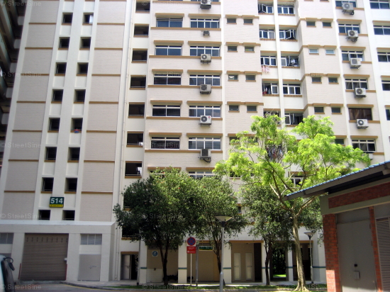 Blk 514 Pasir Ris Street 52 (Pasir Ris), HDB 5 Rooms #126782